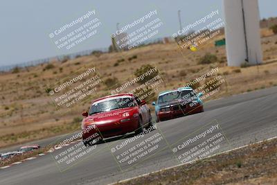 media/May-03-2025-Lucky Dog Racing (Sat) [[206de64b9d]]/Turn 6 (150pm-230pm)/